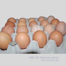 Яйцо куриное СВ "Деревенское" купить оптом