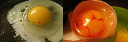 Куриное яйцо ТД Золотое яичко