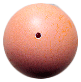 дырка в яйце с помощью иголки
