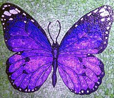 мозайка бабочки из яичной скорлупы